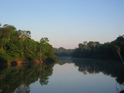 Pacaya–Samiria National Reservation